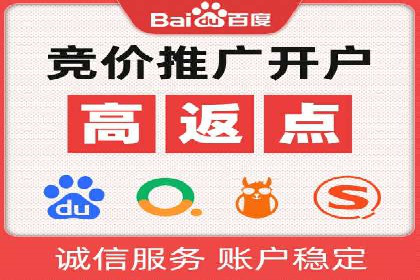 案例研究：SEM开户助力电商快速崛起